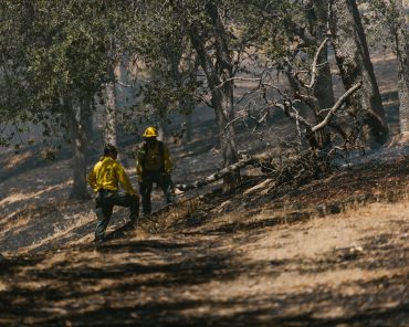 Wildfire Insurance Costs Are Rising in California