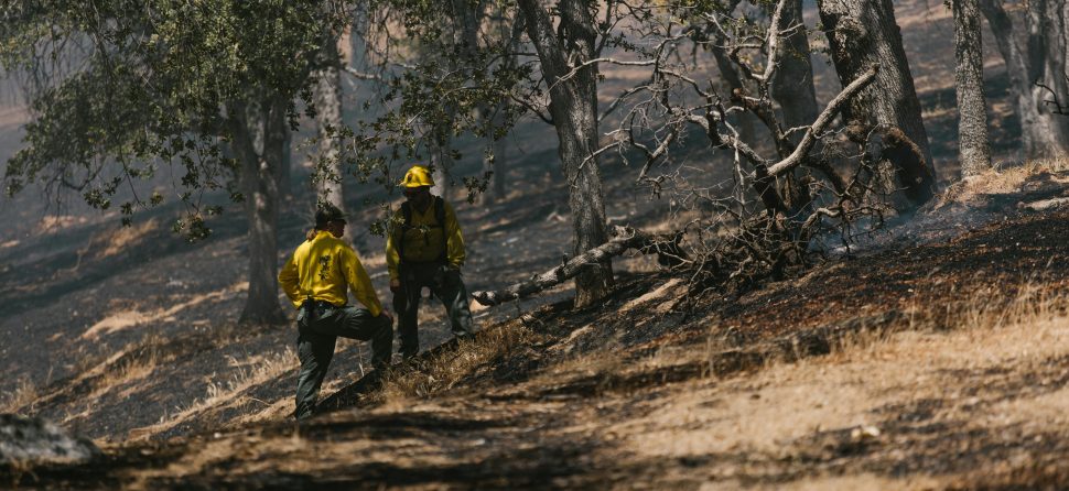 Wildfire Insurance Costs Are Rising in California