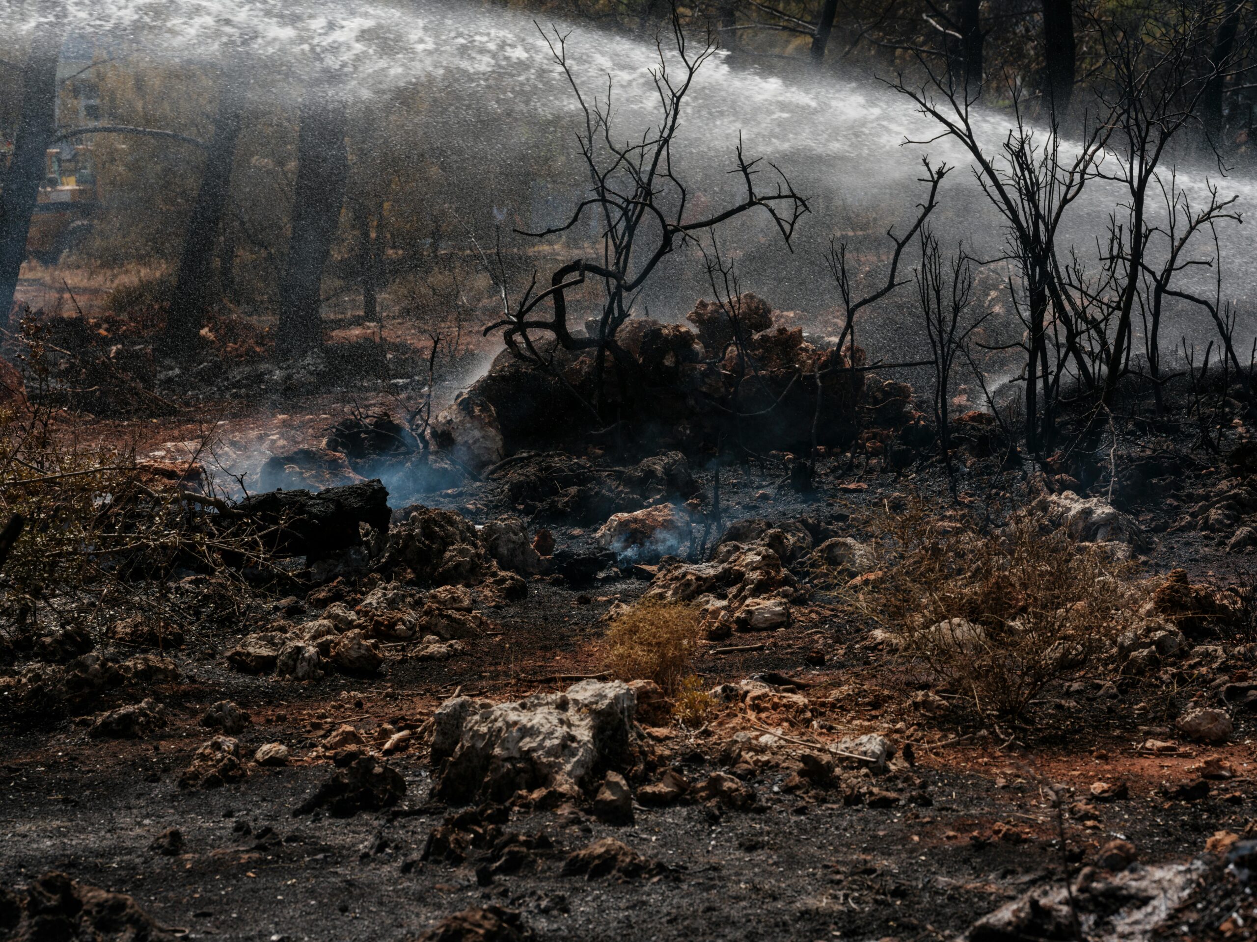 California Insurance